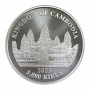 3000 Riels 3000 KHR = JPY 118