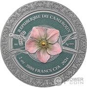 2000 Francs CFA 2000 XAF = JPY 556
