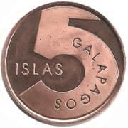 5 Piezas