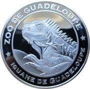 Zoo de Guadeloupe - Iguane - Guadeloupe