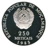 250 Meticais
