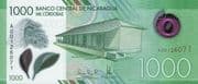1000 Córdobas 1000 NIO = JPY 4311