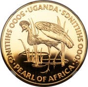 5000 Shillings