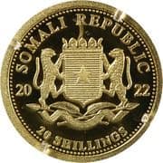20 Shillings