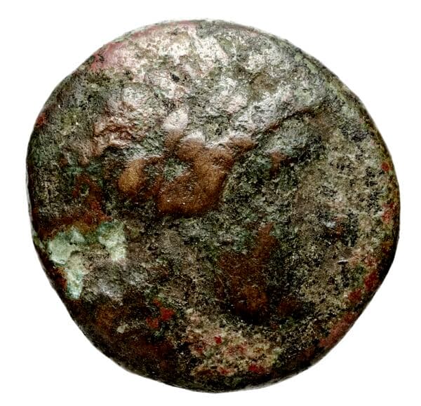 Seleucid Coins (part 1) 525.1d