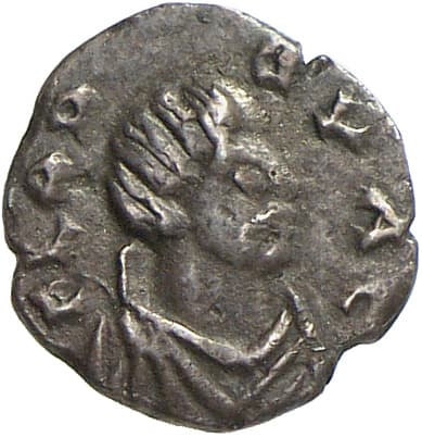 Half siliqua