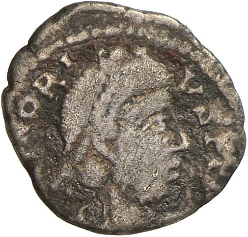 Siliqua