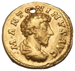 Aureus