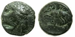 NUMIDIA.Massinissa or Micipsa circa 203-148-118 BC. AE.26.2mm.Reverse.Horse.