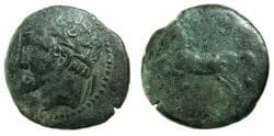 NUMIDIA.Massinissa or Micipsa circa 203-148-118 BC. AE.26.3mm.Reverse.Horse.