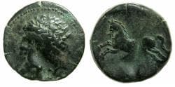 NUMIDIA.Massinissa or Micipsa circa 203-148-118 BC.AE. 25.9mm.