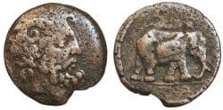 KINGS of NUMIDIA, Juba I , AE28. Circa 60-46 BC. Zeus Ammon/Elephant. RARE.