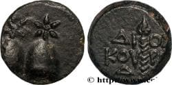 COLCHIS - DIOSKOUROS Dioscuras, Colchide c. 105-90 AC. (14,5mm, 2,35g, 12h)
