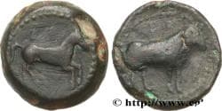 CYRENAICA - BARCA Barcé, Cyrénaïque c. 320-300 AC. (18mm, 7,25g, 3h)