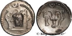 ARABIA FELIX - HIMYARITES Pétra, Arabie c. 10-100 (18mm, 2,48g, 9h)