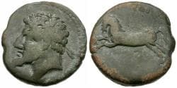 Kings of Numidia. Massinissa - Micipsa (203-118 BC) Æ26 / Free Horse