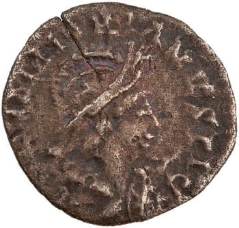 Siliqua