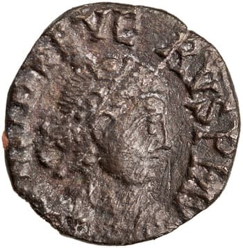 Half siliqua