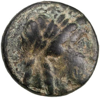 Seleucid Coins (part 1) 525.1b