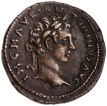 Cistophorus