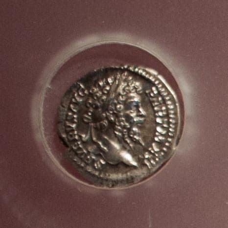 7 Denarius