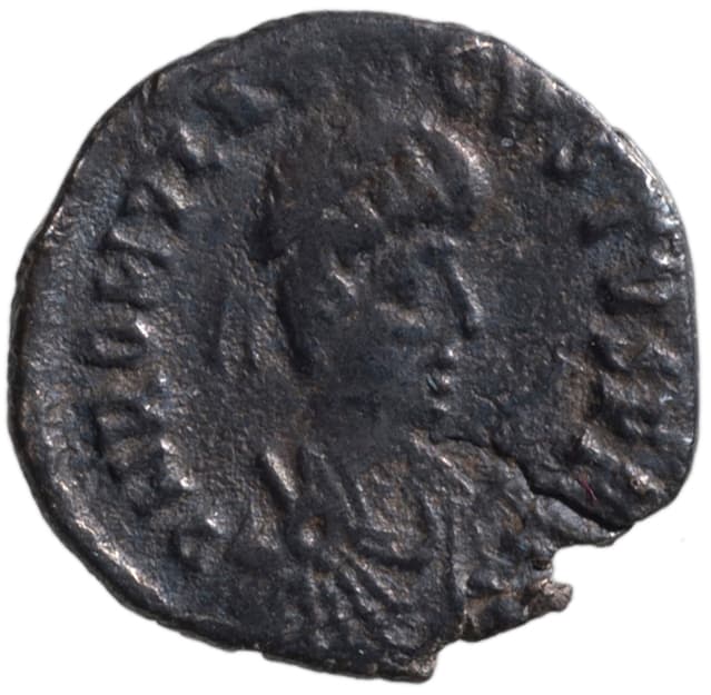 Half siliqua