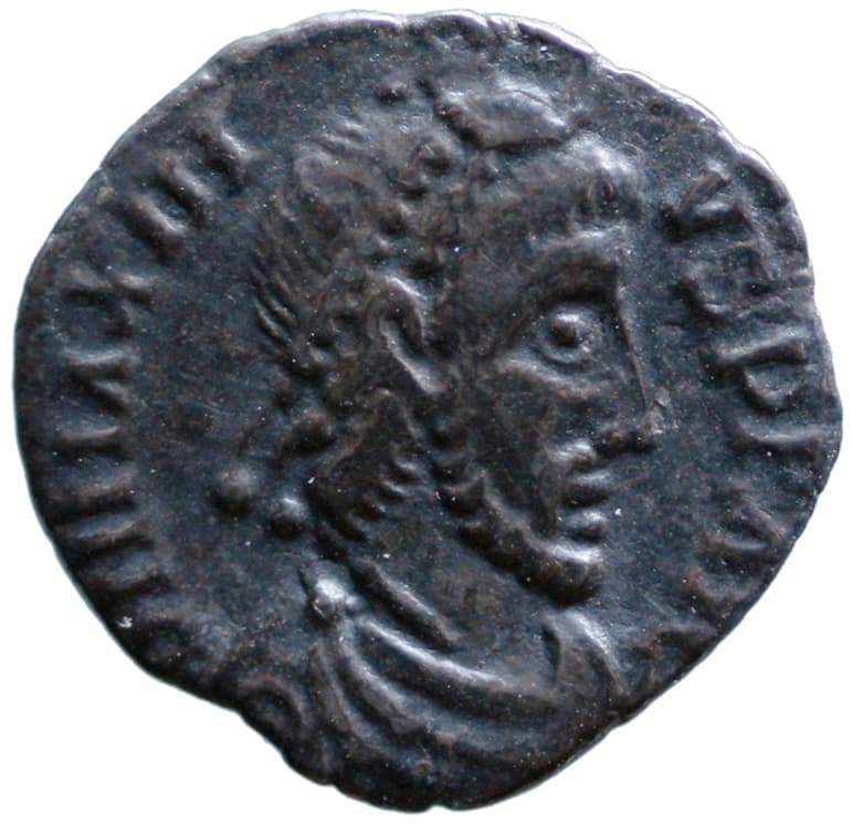 Siliqua