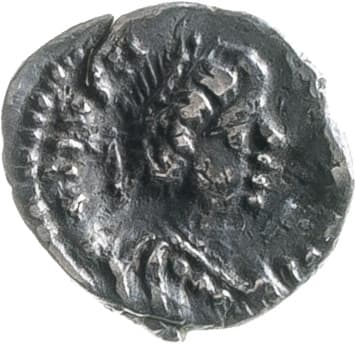 Quarter siliqua