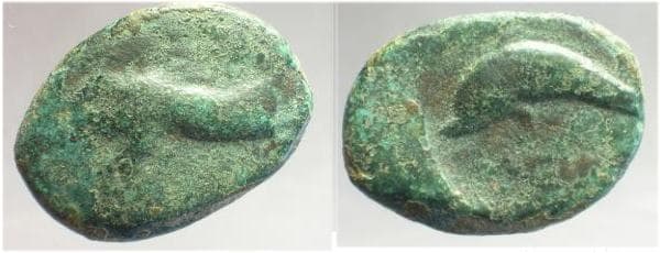 BMC 6 Salapia, Apulia