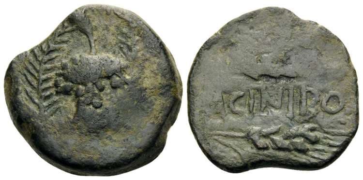 ACIP 2448 Acinipo, Spain, AE21 As