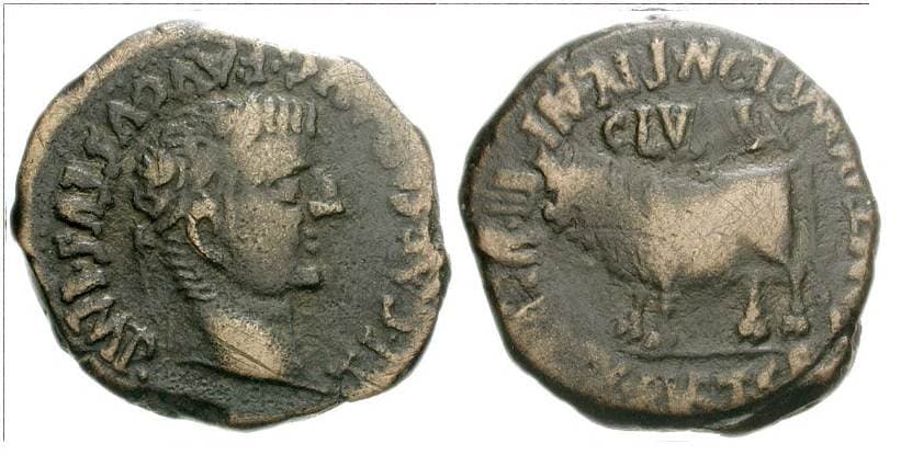 RPC 456 Tiberius, AE As, 27mm of Clunia, Spain, 14