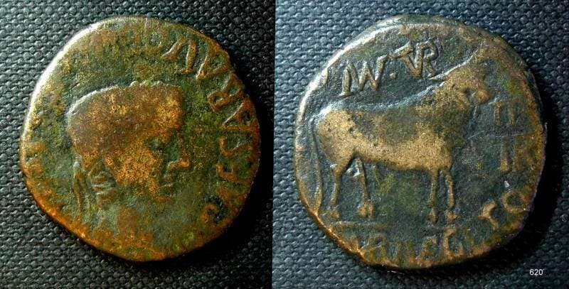 RPC 418 Tiberius, AE25 of Turiaso, Spain, 9