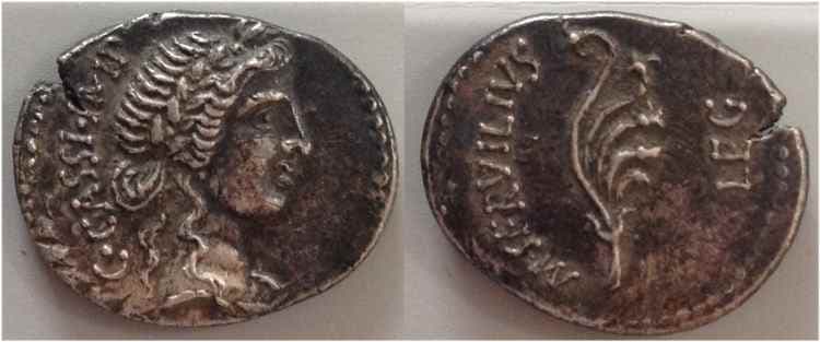 RSC 9 Cassius, AR denarius