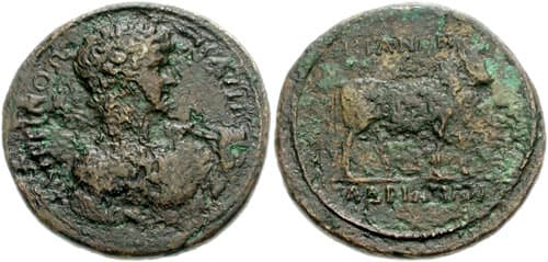 Kios CNG 130-282 Antinous AE38 of Kios, Bithynia