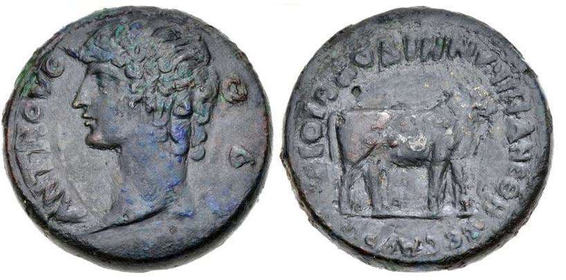 Smyrna Klose 7 Antinous AE36 of Ionia, Smyrna
