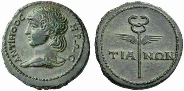 Tium NAC 51, 282 Antinous, AE 11,43 gr