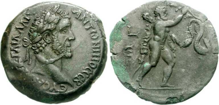 Alexandria Emmett 1554