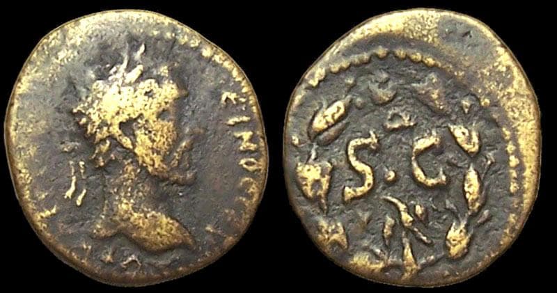 Antioch ad Orontem BMC 323 Antoninus Pius, AE24 Antioch, Syria