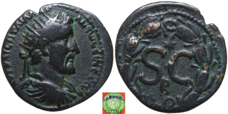 Antioch ad Orontem McAlee 6 Antoninus Pius, AE25 of Antioch, Syria