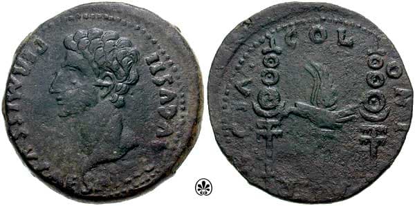 RPC 128 Augustus AE 33mm of Colonia Patricia (Corduba), Spain