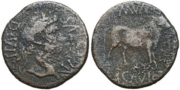 RPC 459 Augustus AE27 As of Spain, Hispania Citerior, Ercavica