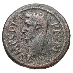 Leptis Minor RPC 790 Augustus AE As of Byzacene, Leptis Minor