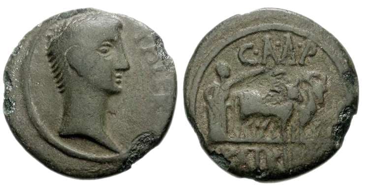 Patriae RPC 1252 Augustus, AE23, (6