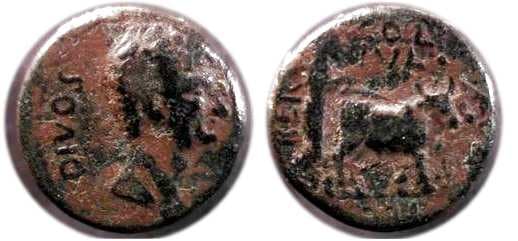 Berytos BMC 62 Divus Augustus AE24 of Berytus, Phoenicia