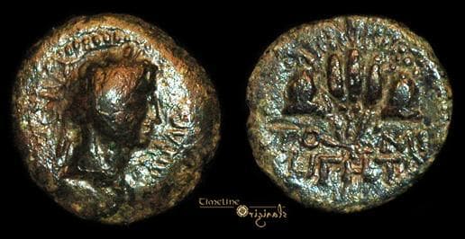 Tomis RPC 1826 Caligula AE17 of Tomis, Moesia Inferior