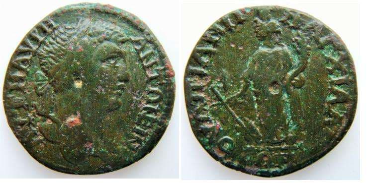 Anchialus AMNG 524