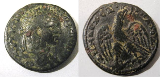Ascalon SNG ANS 733 Caracalla AE of Ascalon, Phoenicia