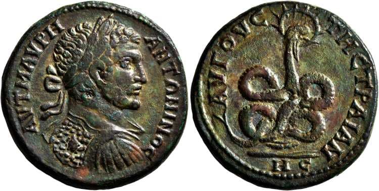 Augusta Trajana Varbanov 1196 Caracalla AE29 of Augusta Trajana, Thrace