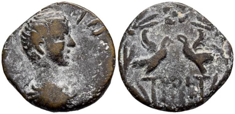 Heliopolis Sawaya 217-222 Caracalla, AE19 of Heliopolis, Syria