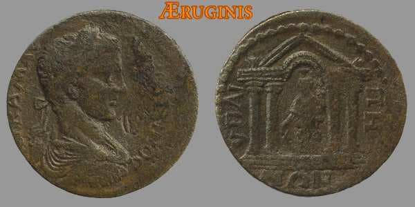 Hypaepa GRPC Lydia 303 Caracalla